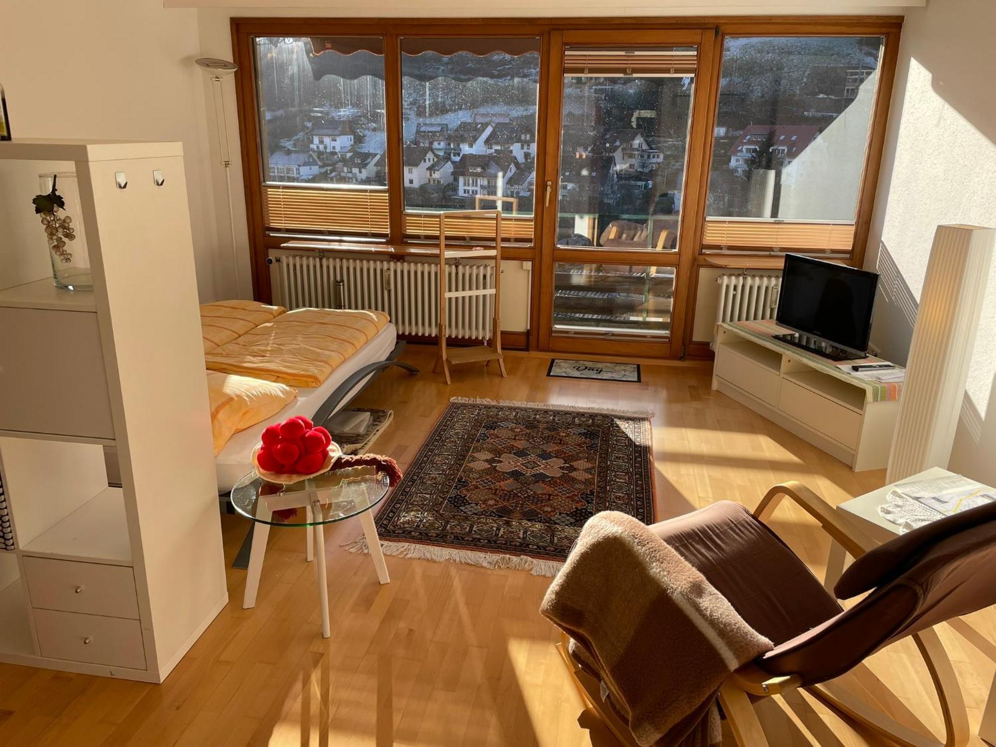 Steiert Panorama Apartments Тодтнау Екстер'єр фото