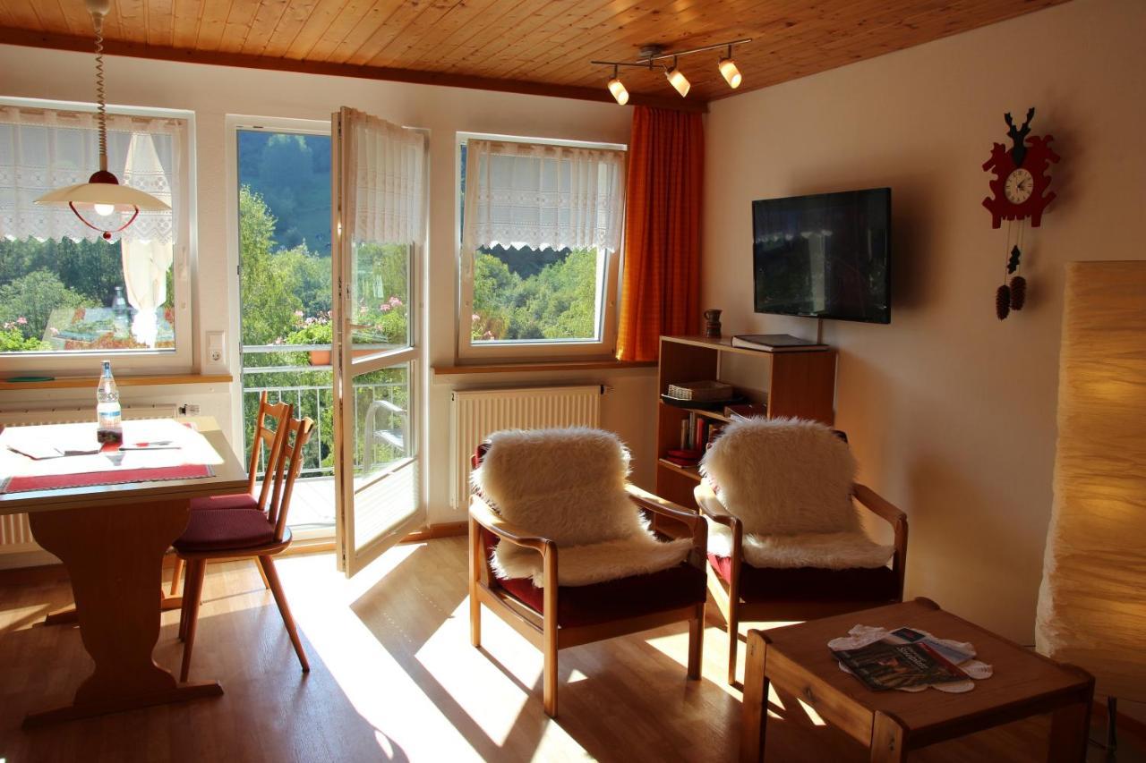 Steiert Panorama Apartments Тодтнау Екстер'єр фото